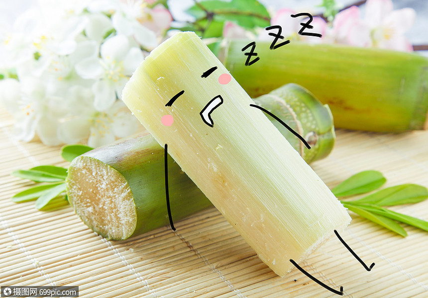 甘蔗躺叶子 可爱高清图片素材欣赏